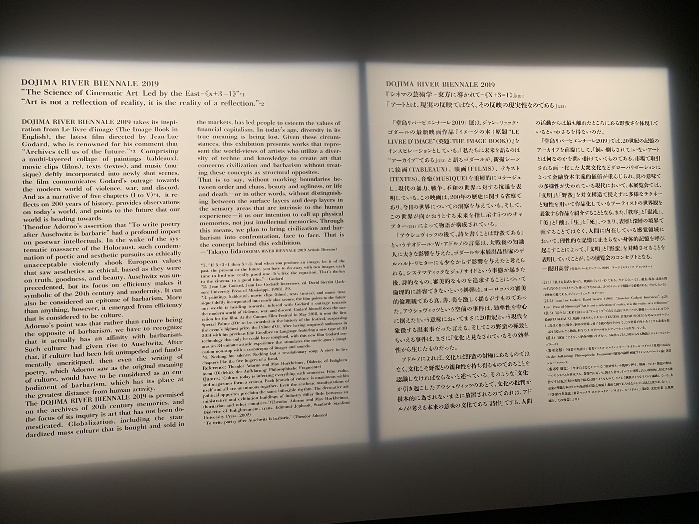 Expérience Singulière - Osaka - Festival Dojima Biennale (1)
