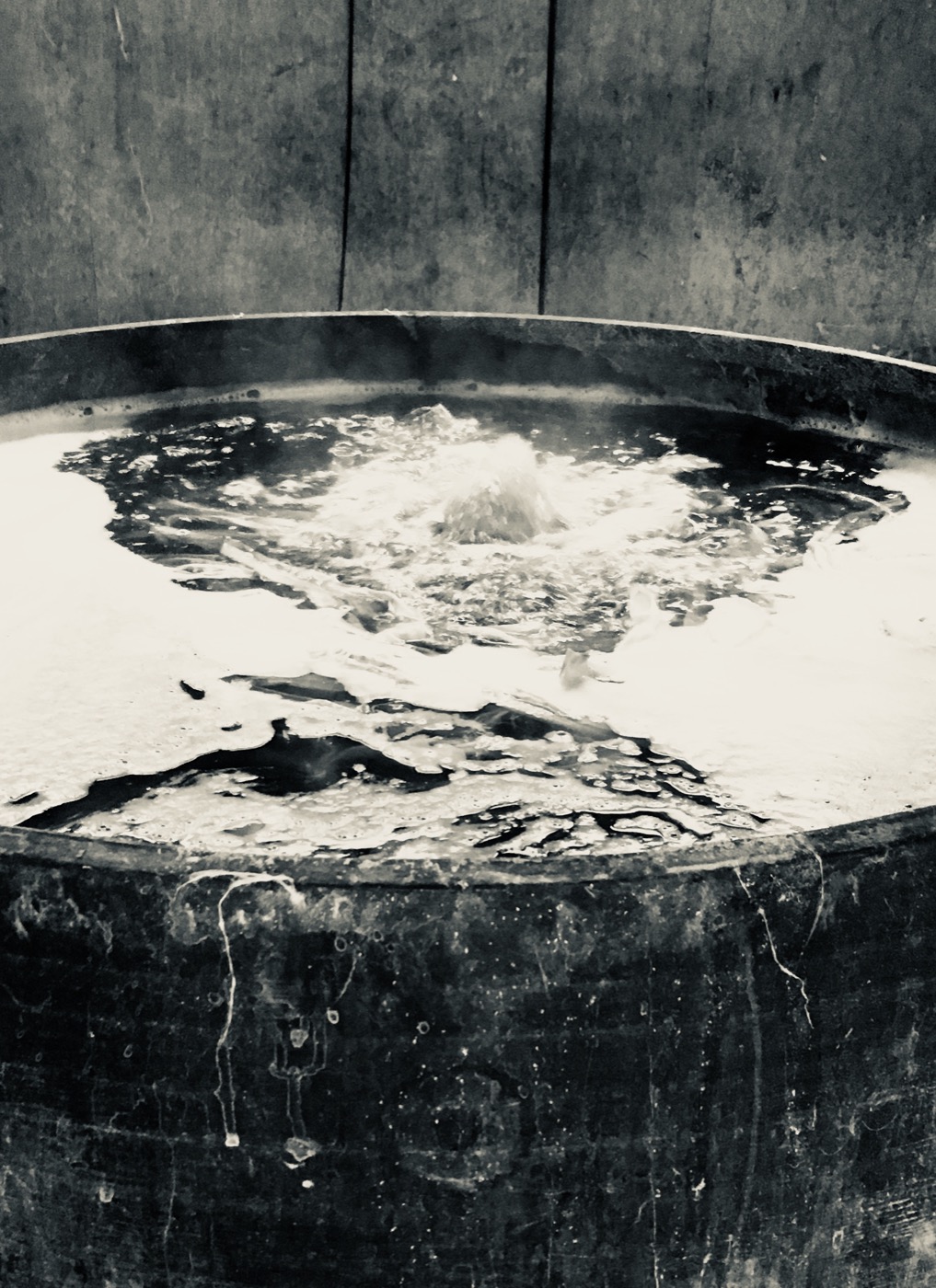 Expérience Singulière - Patrimoine Vivant - Atelier de papier Washi (3)