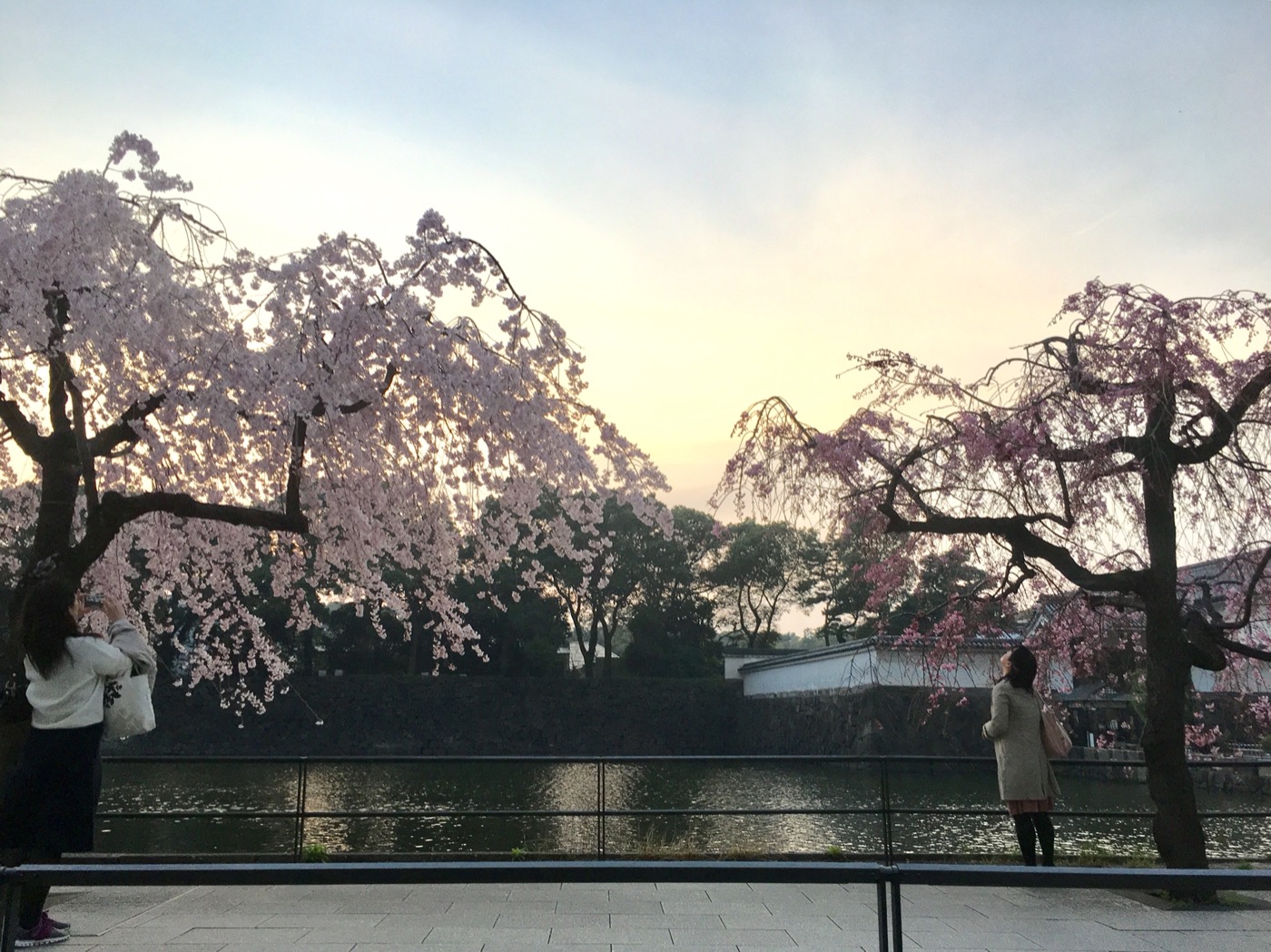 Expérience Singulière - Tokyo - Ukiyoe et regard d'artiste (1)