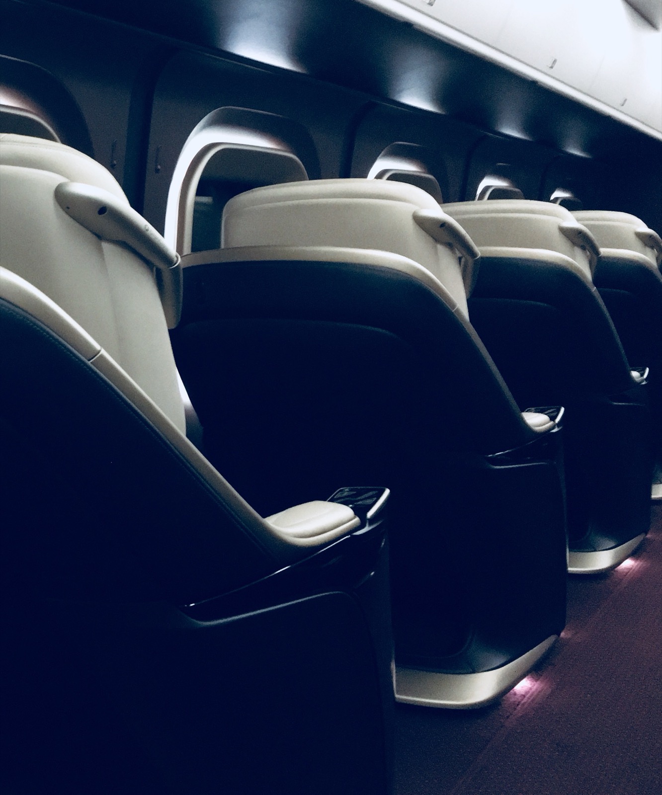 Transfert - Shinkansen - Voyage en train première classe (1)