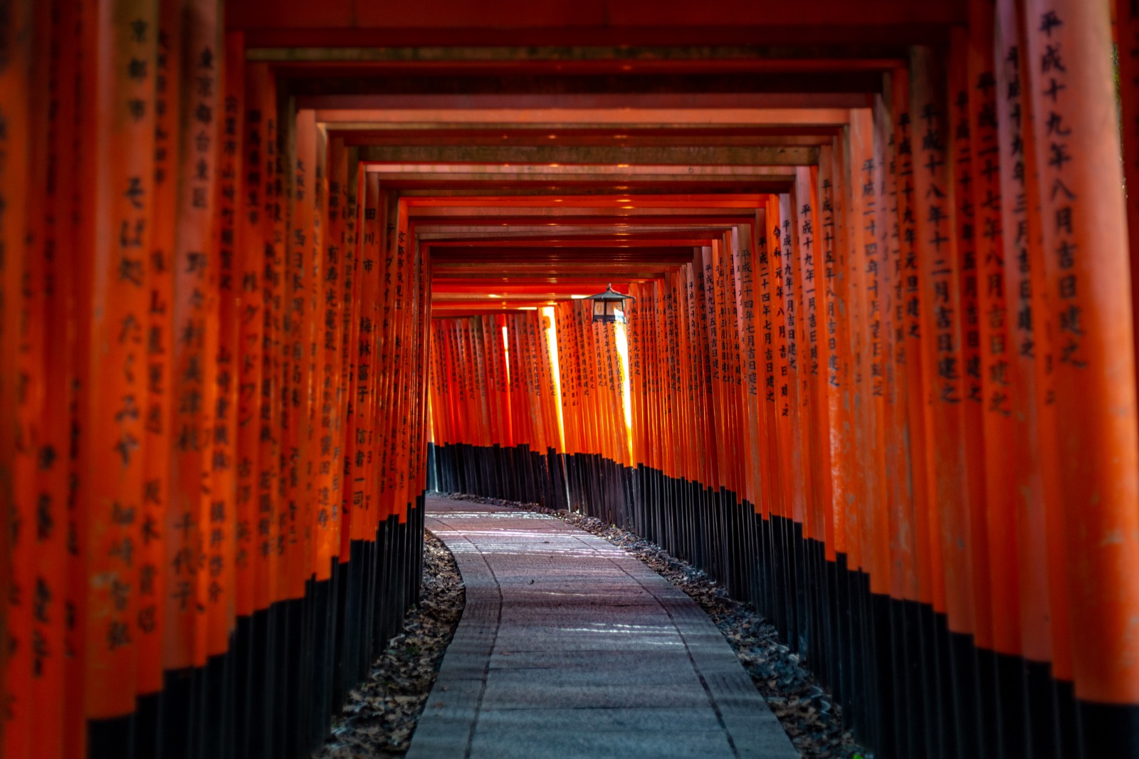 Excursion Privée - Kyoto - Fushimi Inari