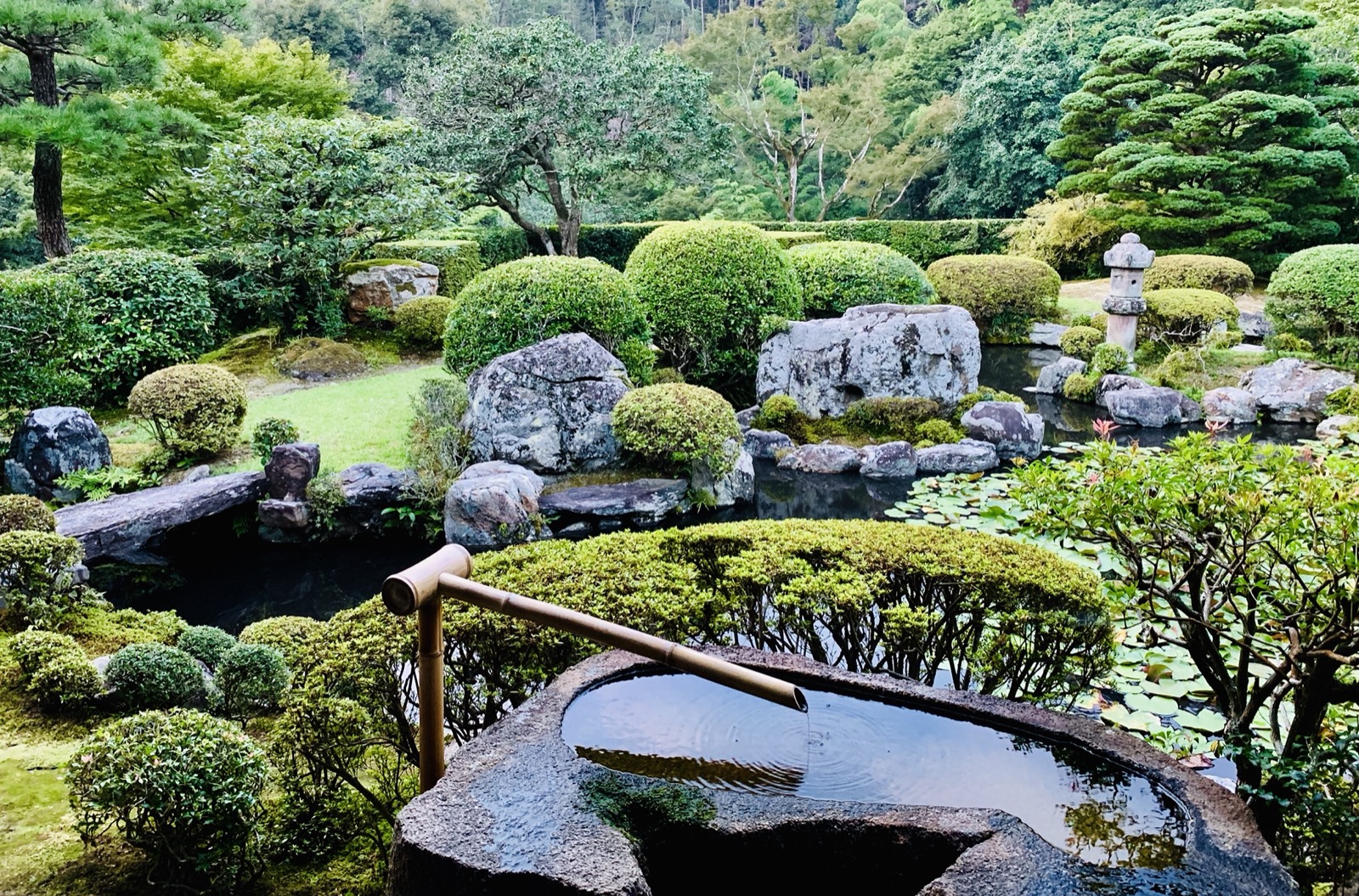 Excursion Privée - Kyoto - Visite du temple Kiyomizu UNESCO (1)